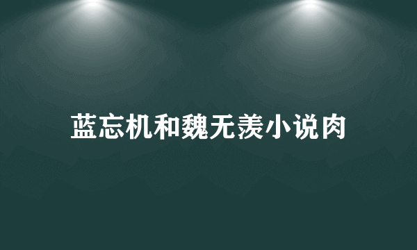 蓝忘机和魏无羡小说肉