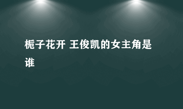 栀子花开 王俊凯的女主角是谁