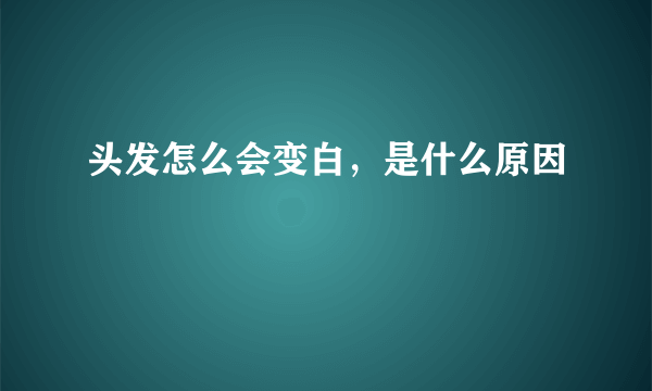 头发怎么会变白，是什么原因