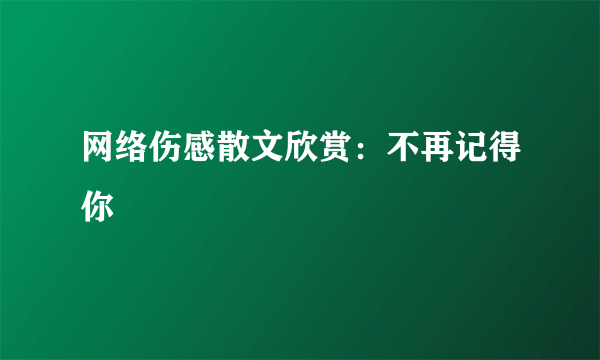 网络伤感散文欣赏：不再记得你