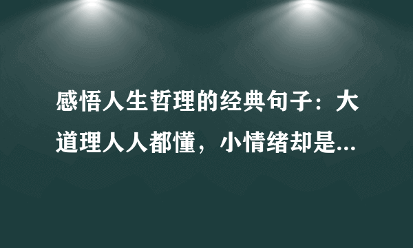 感悟人生哲理的经典句子：大道理人人都懂，小情绪却是难以自控！