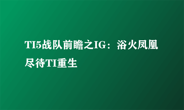 TI5战队前瞻之IG：浴火凤凰 尽待TI重生