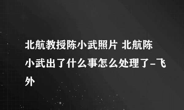 北航教授陈小武照片 北航陈小武出了什么事怎么处理了-飞外