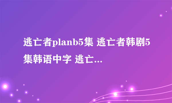 逃亡者planb5集 逃亡者韩剧5集韩语中字 逃亡者planb05集中字下载 逃亡者planb05集土豆视频