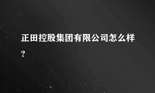 正田控股集团有限公司怎么样？