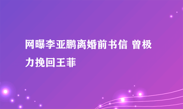 网曝李亚鹏离婚前书信 曾极力挽回王菲