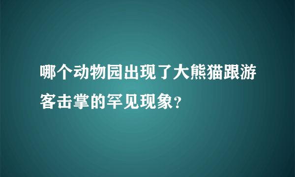 哪个动物园出现了大熊猫跟游客击掌的罕见现象？