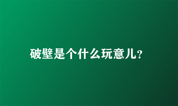 破壁是个什么玩意儿？