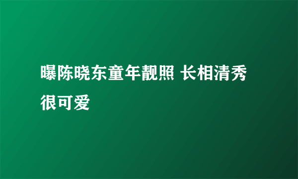 曝陈晓东童年靓照 长相清秀很可爱