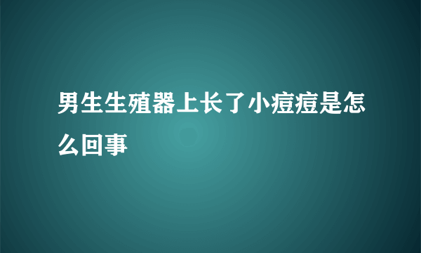 男生生殖器上长了小痘痘是怎么回事