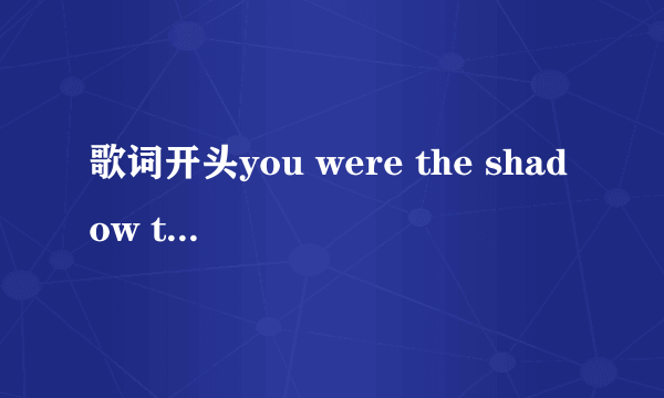 歌词开头you were the shadow to my light（你是我生命之光中的一道暗影） 什么