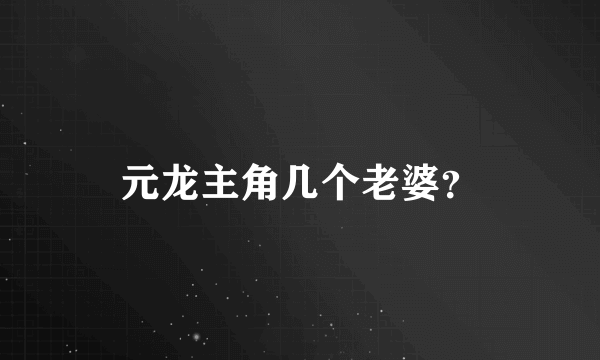 元龙主角几个老婆？