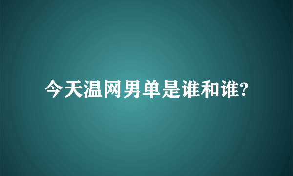 今天温网男单是谁和谁?