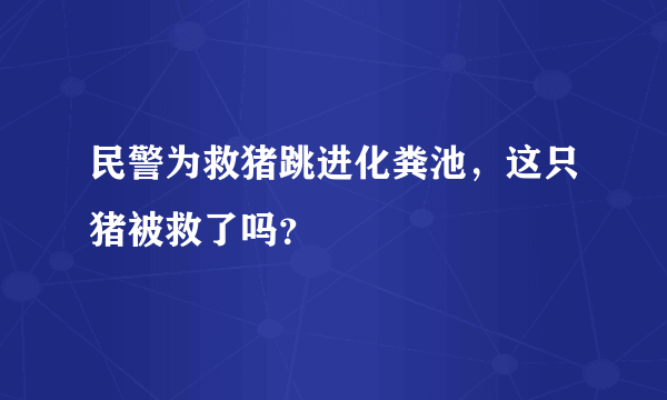 民警为救猪跳进化粪池，这只猪被救了吗？