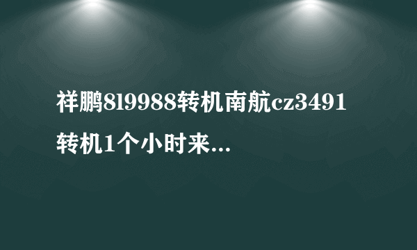 祥鹏8l9988转机南航cz3491转机1个小时来得及么 9点55到 第二班11点20飞