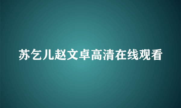 苏乞儿赵文卓高清在线观看