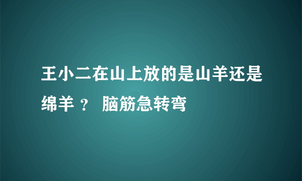 王小二在山上放的是山羊还是绵羊 ？ 脑筋急转弯