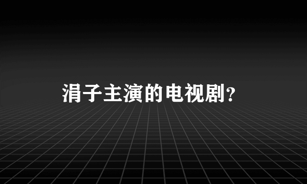 涓子主演的电视剧？