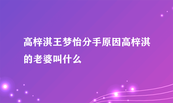 高梓淇王梦怡分手原因高梓淇的老婆叫什么