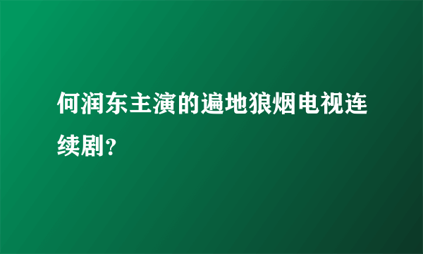 何润东主演的遍地狼烟电视连续剧？