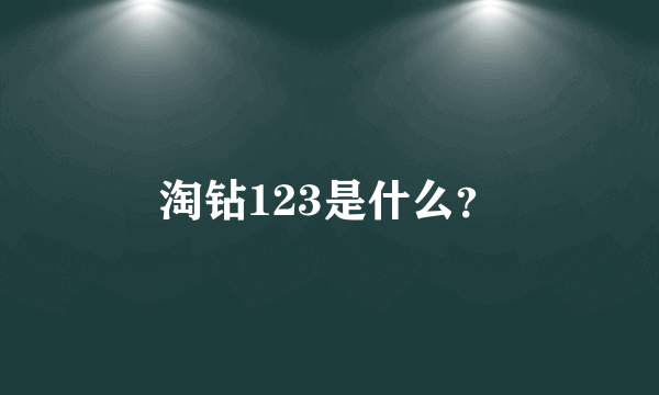 淘钻123是什么？