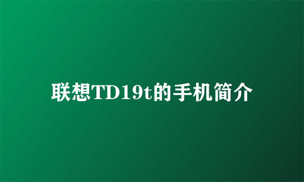 联想TD19t的手机简介