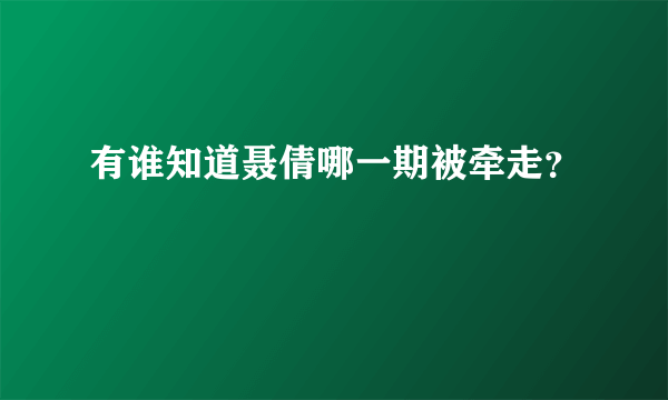 有谁知道聂倩哪一期被牵走？