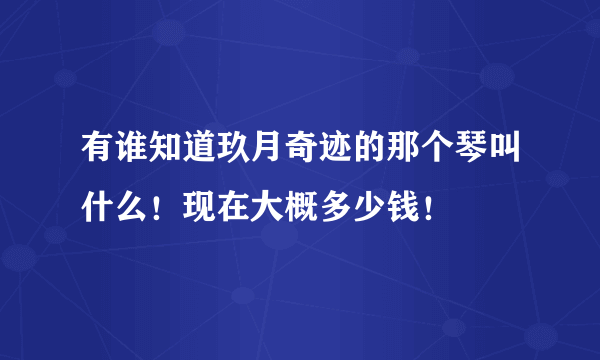 有谁知道玖月奇迹的那个琴叫什么！现在大概多少钱！