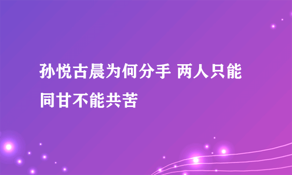 孙悦古晨为何分手 两人只能同甘不能共苦