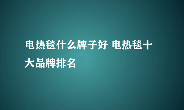 电热毯什么牌子好 电热毯十大品牌排名