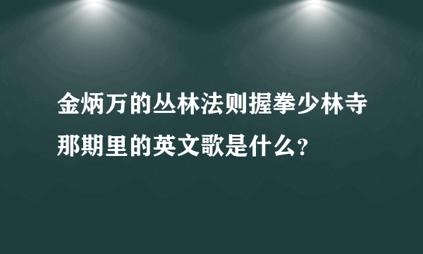 金炳万的丛林法则握拳少林寺那期里的英文歌是什么？