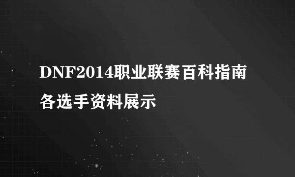 DNF2014职业联赛百科指南 各选手资料展示