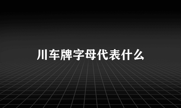 川车牌字母代表什么