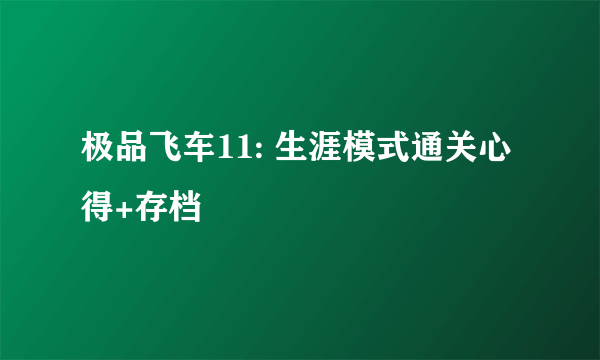 极品飞车11: 生涯模式通关心得+存档