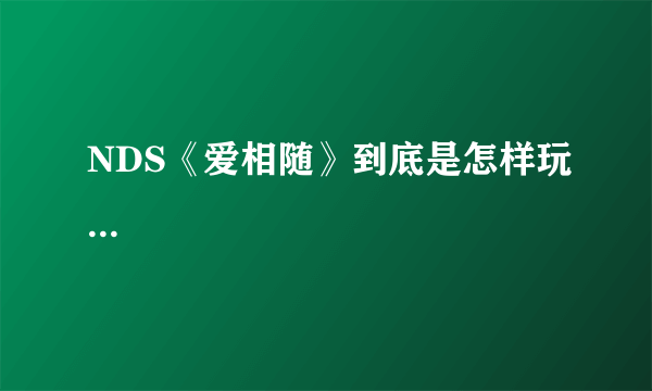 NDS《爱相随》到底是怎样玩...