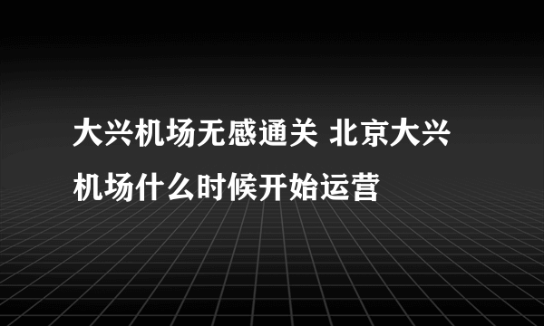 大兴机场无感通关 北京大兴机场什么时候开始运营