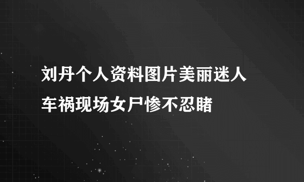 刘丹个人资料图片美丽迷人 车祸现场女尸惨不忍睹