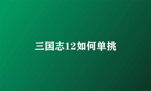 三国志12如何单挑