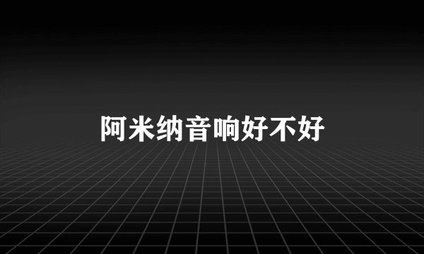 阿米纳音响好不好