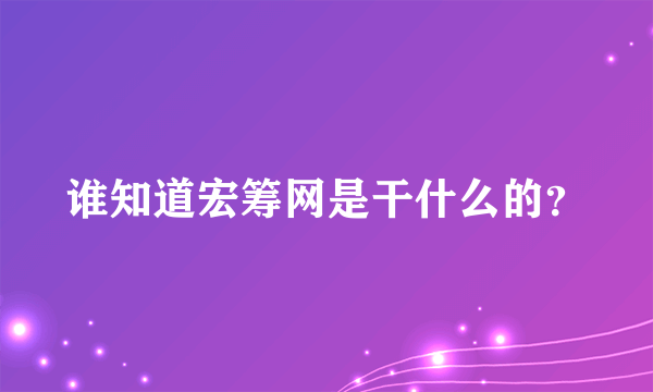 谁知道宏筹网是干什么的？