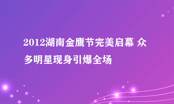 2012湖南金鹰节完美启幕 众多明星现身引爆全场