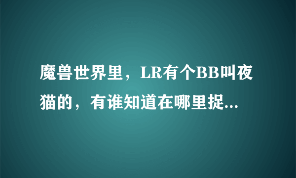 魔兽世界里，LR有个BB叫夜猫的，有谁知道在哪里捉的？？？