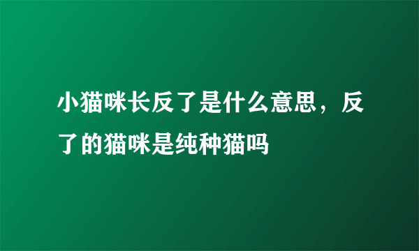 小猫咪长反了是什么意思，反了的猫咪是纯种猫吗