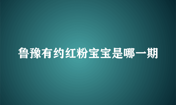 鲁豫有约红粉宝宝是哪一期