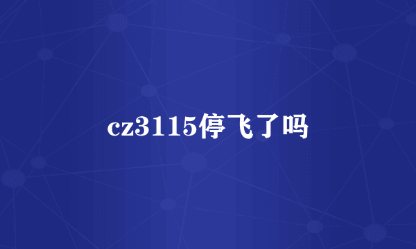 cz3115停飞了吗