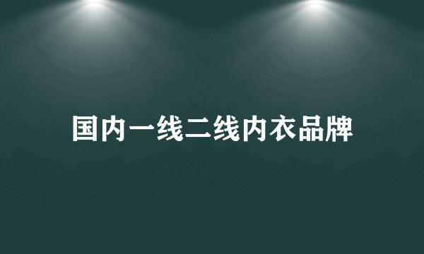 国内一线二线内衣品牌