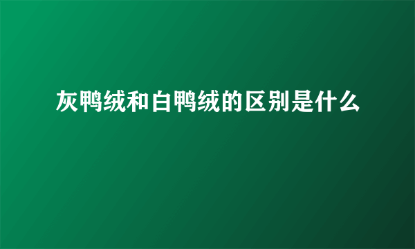 灰鸭绒和白鸭绒的区别是什么