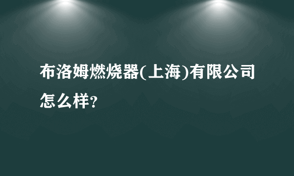 布洛姆燃烧器(上海)有限公司怎么样？