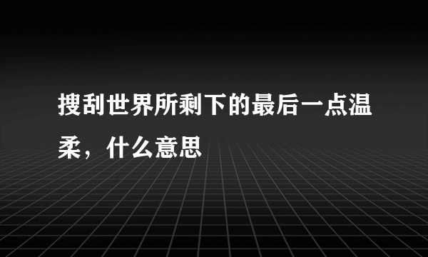 搜刮世界所剩下的最后一点温柔，什么意思