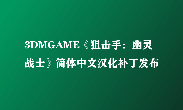 3DMGAME《狙击手：幽灵战士》简体中文汉化补丁发布